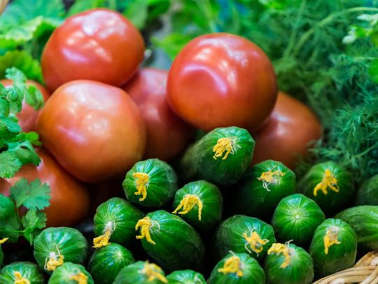 томати огірки